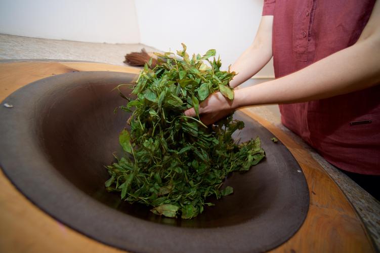 科技让茶叶生产加快了脚步! 茶叶加工中都有哪些新技术出现?